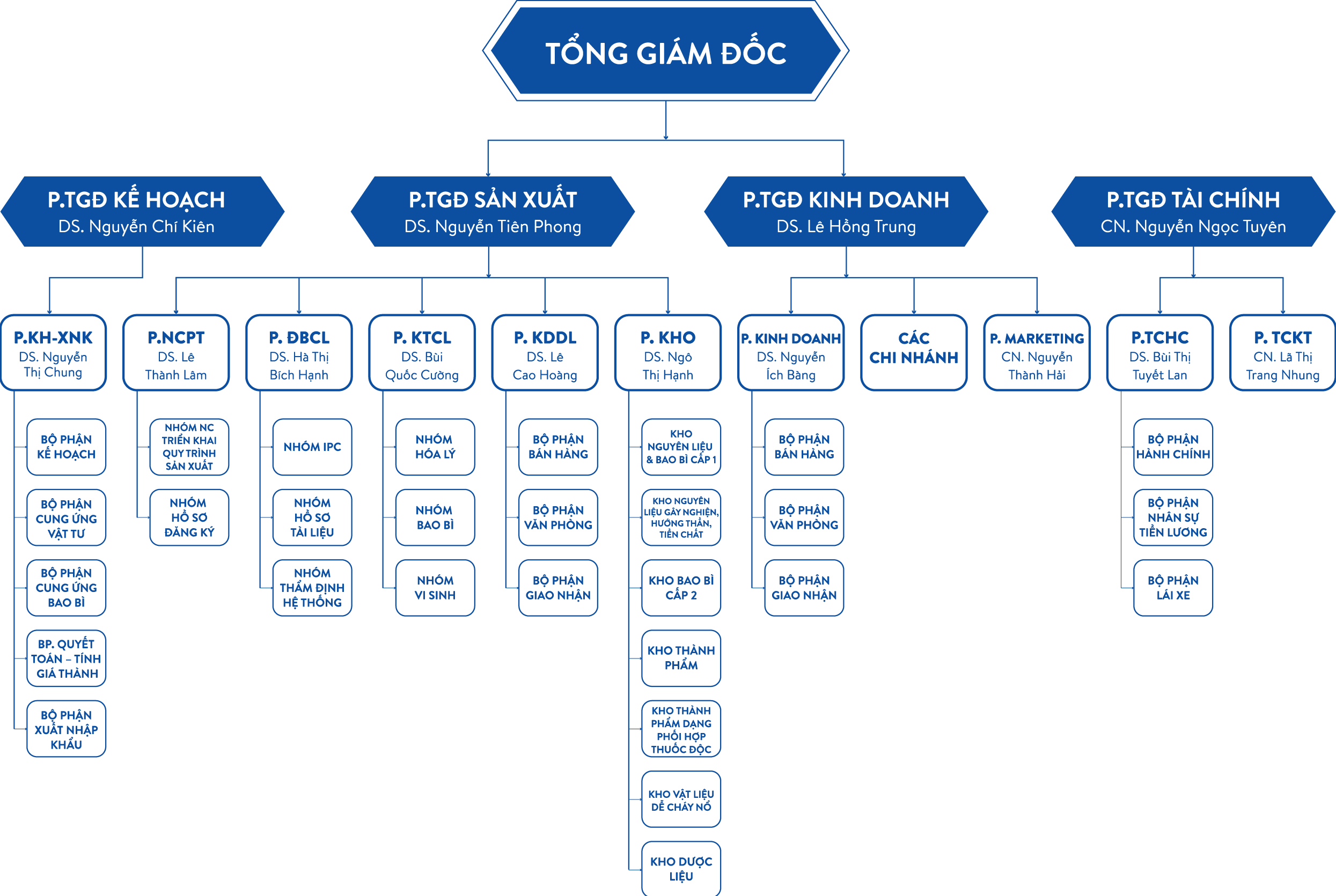 cơ cấu tổ chức