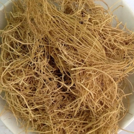 Tế Tân